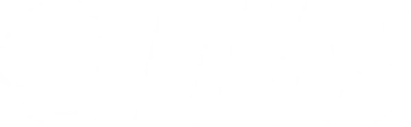 DVS